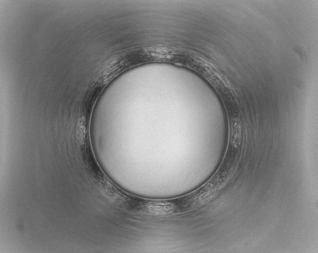 X0000116430707200912221505