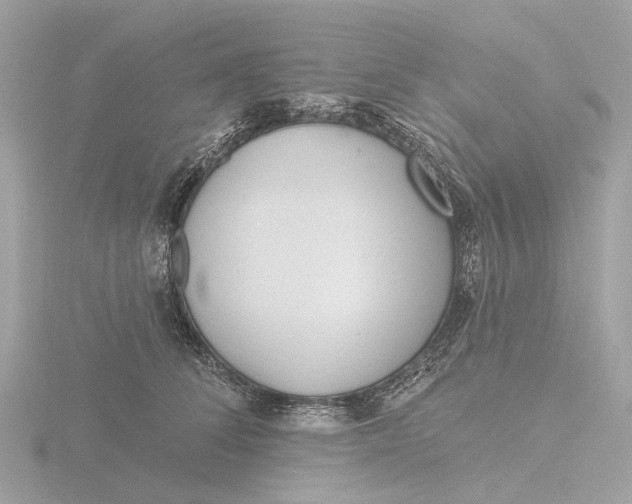 X0000116430708200912221505