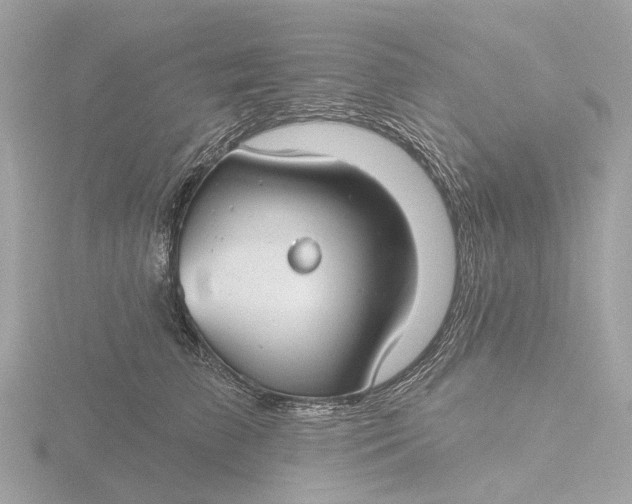 X0000116430709200912221505