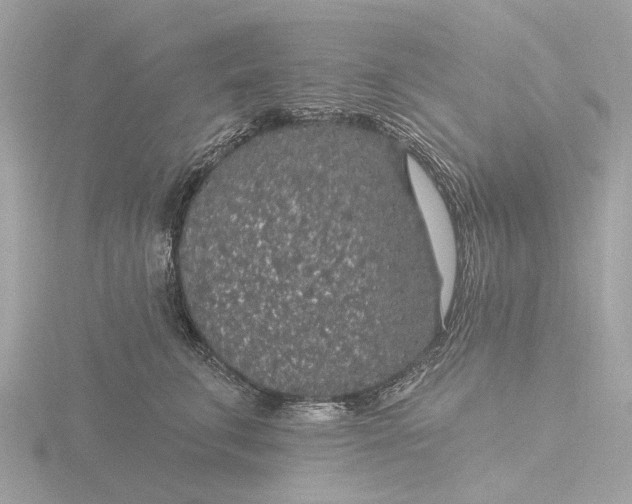 X0000116430711200912221505