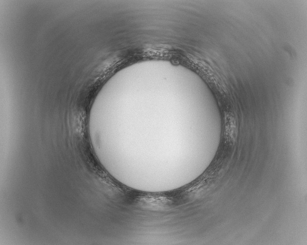 X0000116430712200912221505