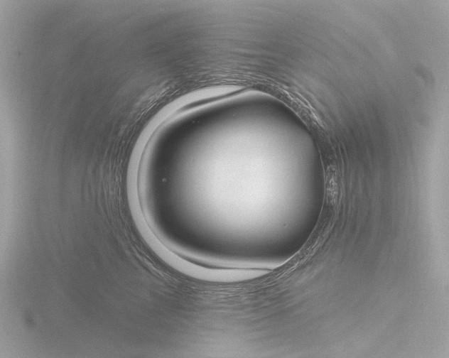 X0000116430713200912221505