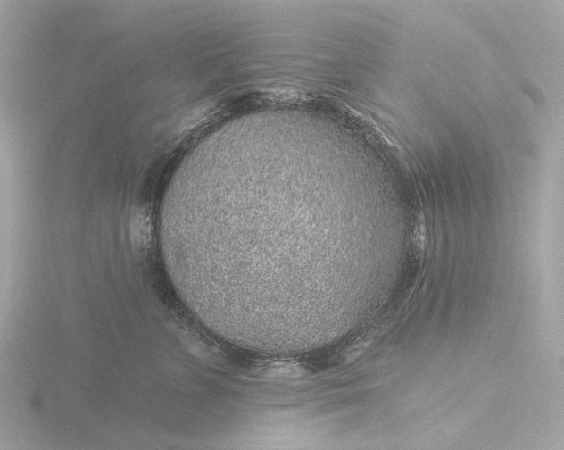 X0000116430715200912221505