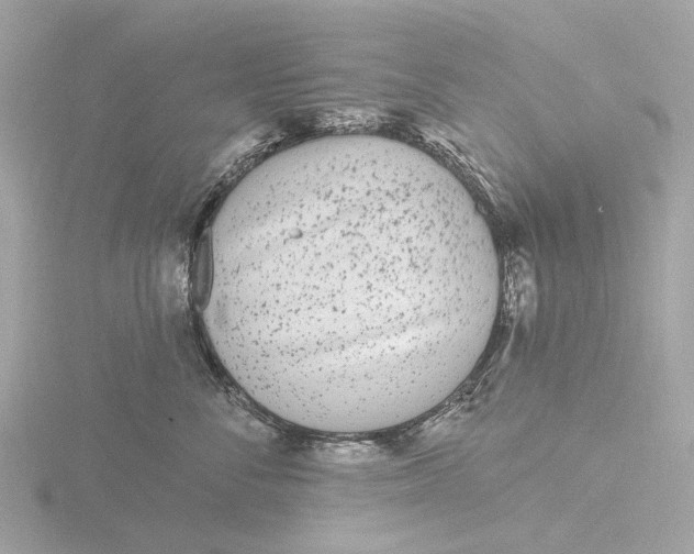 X0000116430716200912221505