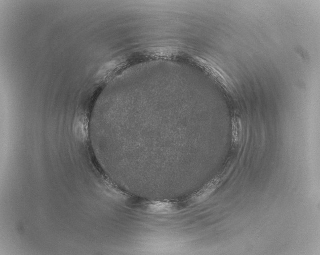 X0000116430718200912221505