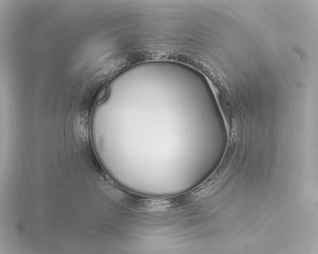 X0000116430719200912221505