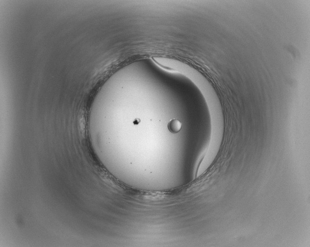 X0000116430720200912221505