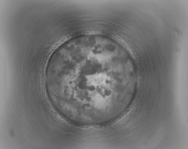 X0000116430721200912221504