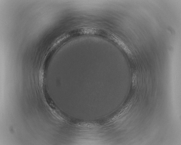 X0000116430722200912221504