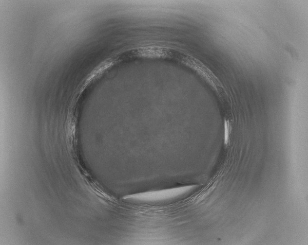 X0000116430723200912221504