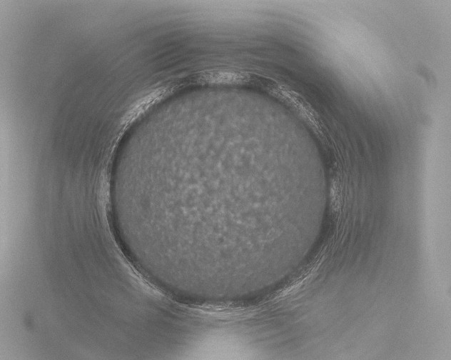 X0000116430725200912221504