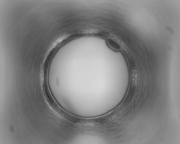 X0000116430726200912221504