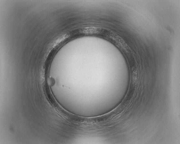 X0000116430727200912221504