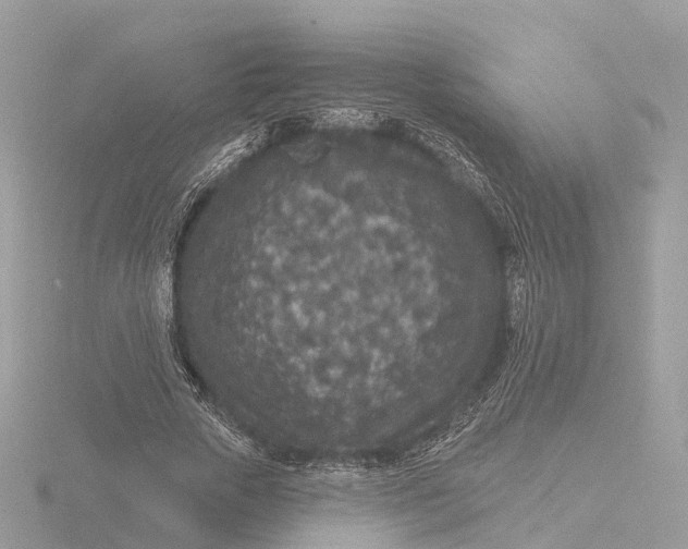 X0000116430729200912221504