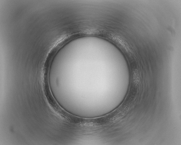 X0000116430730200912221504