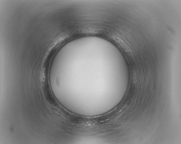 X0000116430731200912221504