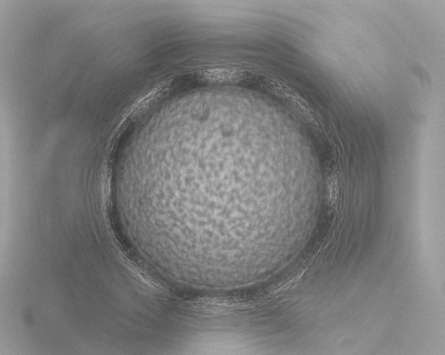 X0000116430733200912221504