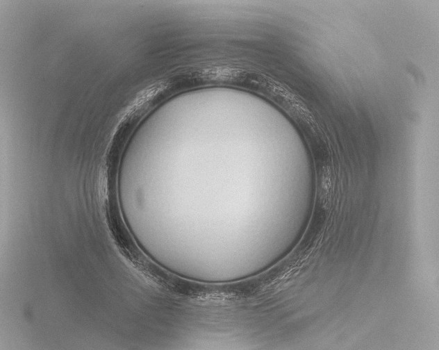 X0000116430734200912221504