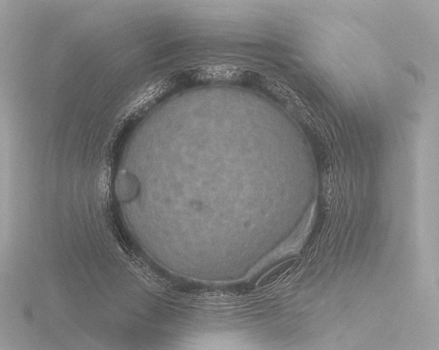 X0000116430735200912221504