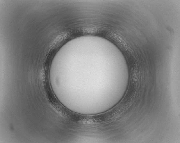 X0000116430738200912221504