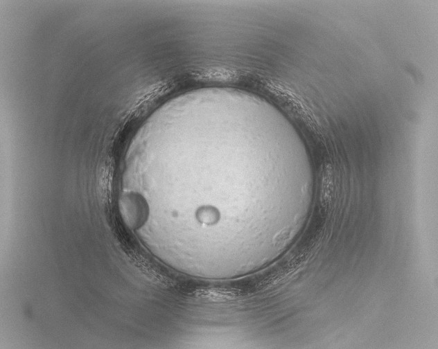 X0000116430739200912221504