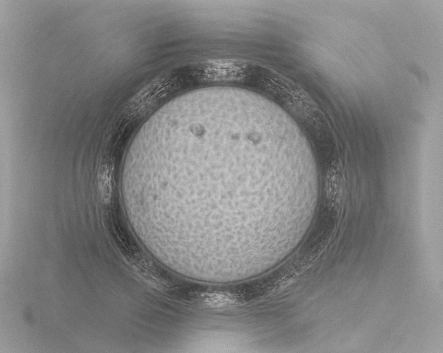 X0000116430741200912221504