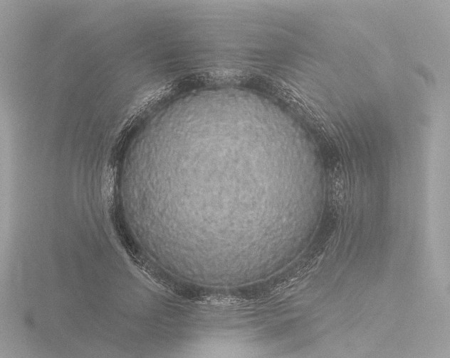 X0000116430742200912221504