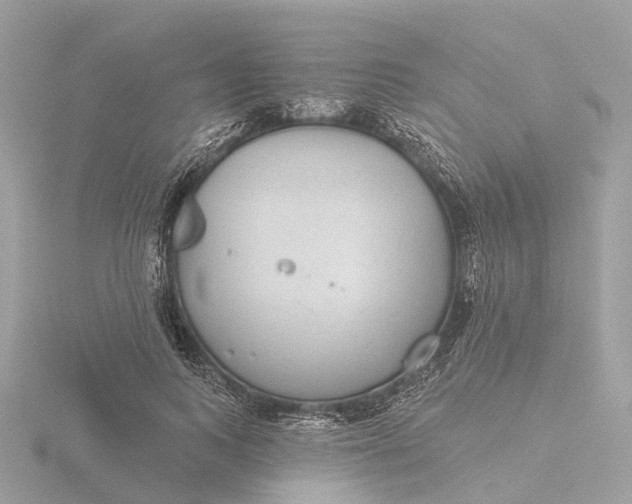 X0000116430743200912221504