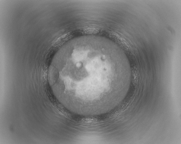 X0000116430745200912221504