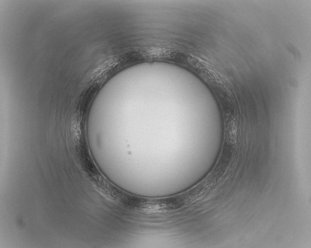 X0000116430746200912221504