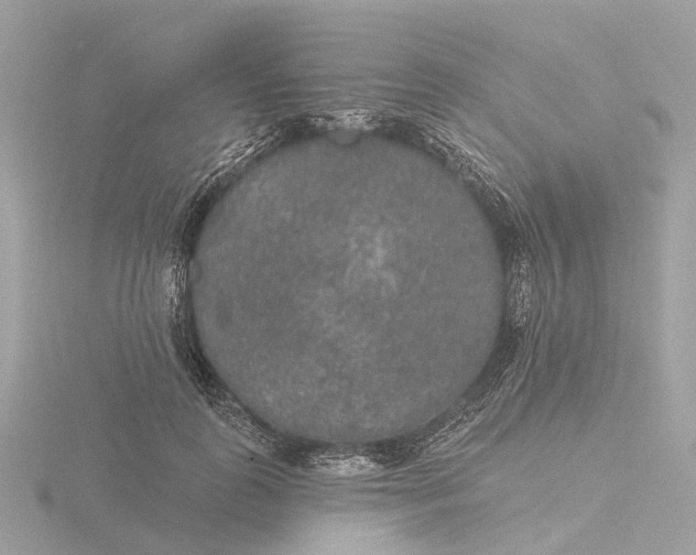 X0000116430747200912221504