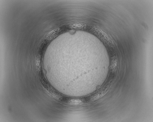 X0000116430749200912221505