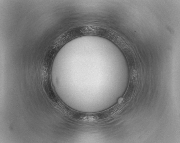 X0000116430751200912221505