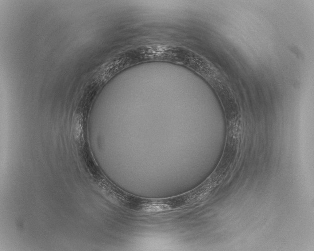 X0000116430754200912221505