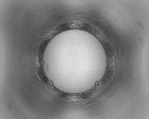 X0000116430755200912221505