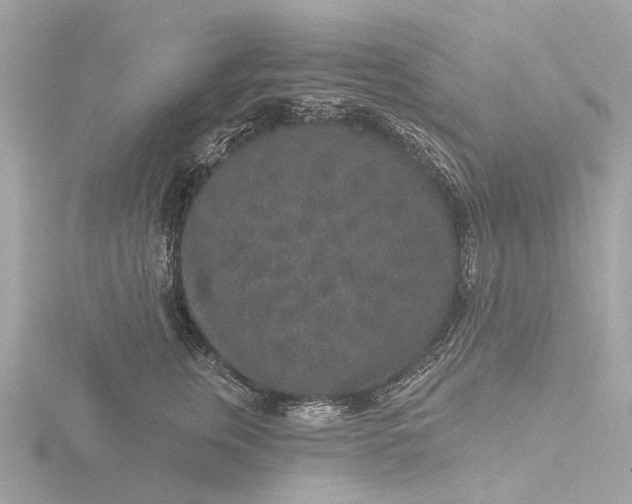 X0000116430759200912221505