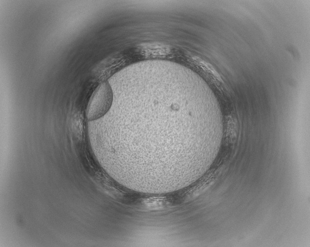 X0000116430761200912221505