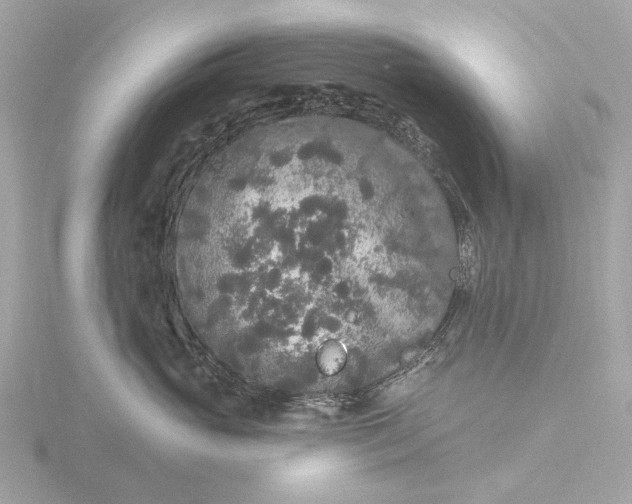 X0000116430765200912221505