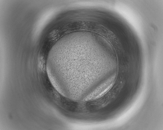 X0000116430766200912221505