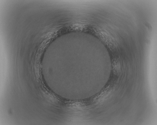 X0000116430769200912221504