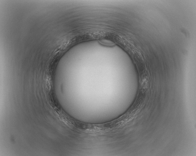 X0000116430772200912221504