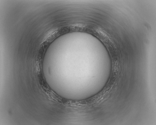 X0000116430774200912221504