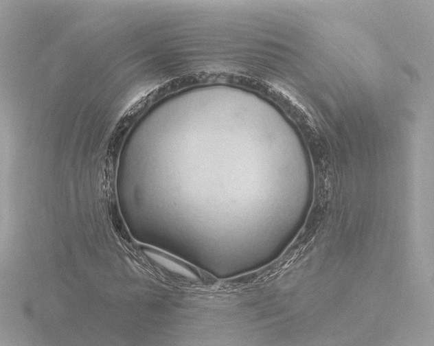 X0000116430775200912221504