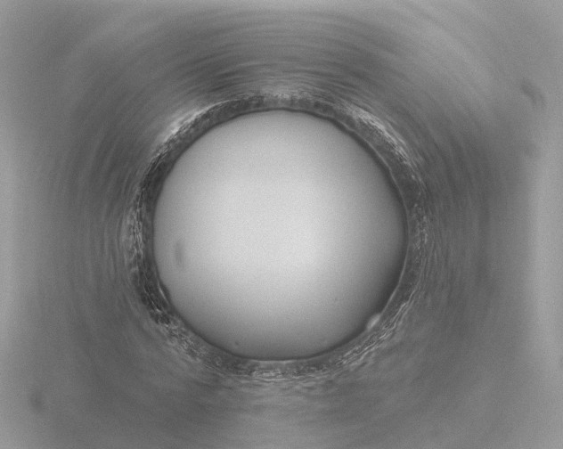 X0000116430776200912221504