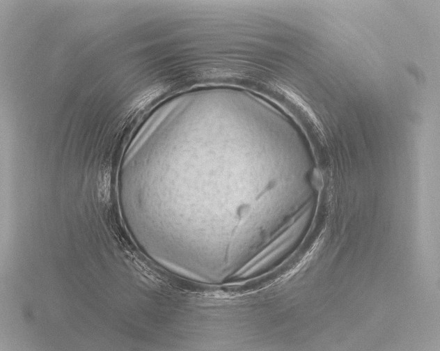 X0000116430777200912221504