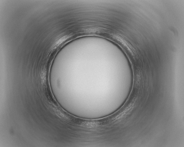 X0000116430778200912221504