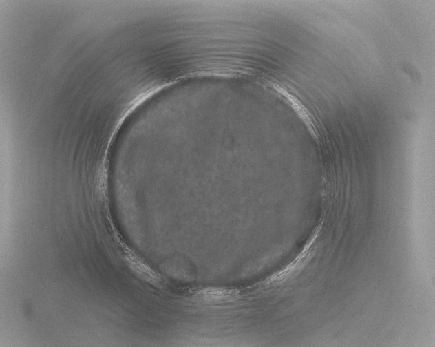 X0000116430779200912221504