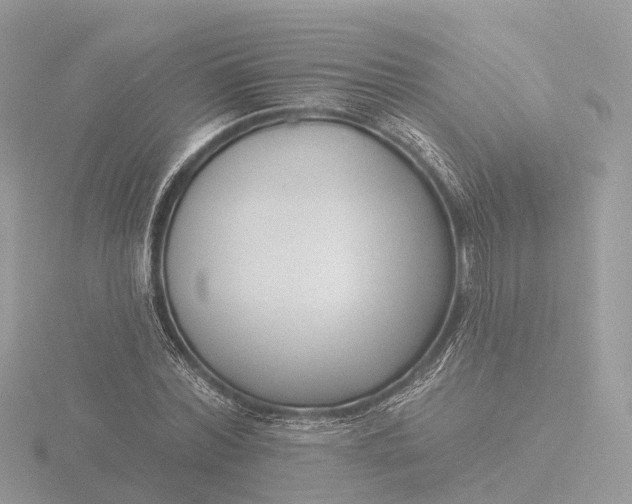 X0000116430780200912221504