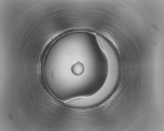 X0000116430781200912221504