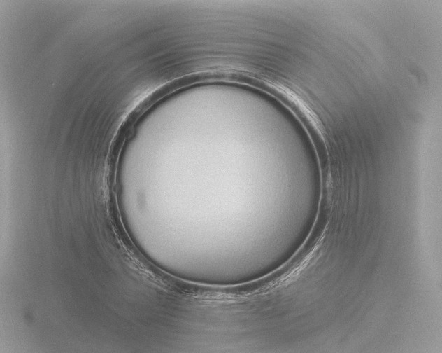 X0000116430783200912221504